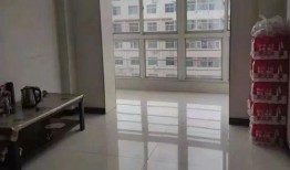 郑州琪源路最新爆料,揭秘神秘项目进展与周边影响