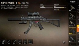 和平精英枪最新爆料,神秘性能引发热议，玩家期待度飙升